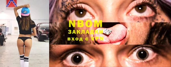 прущий лед Алзамай