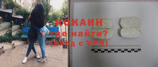 прущий лед Алзамай