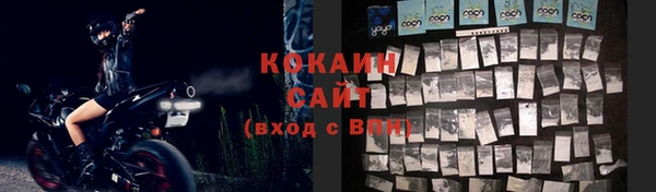 прущий лед Алзамай
