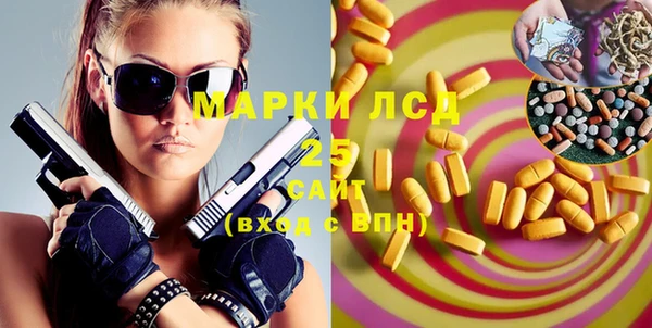 прущий лед Алзамай