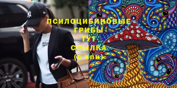 первитин Алексин