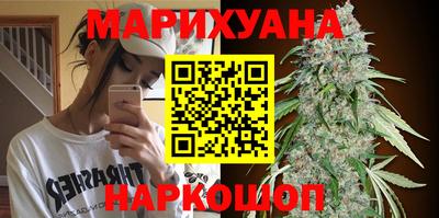Альфа ПВП Моздок