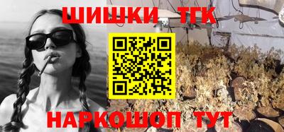 Альфа ПВП Моздок