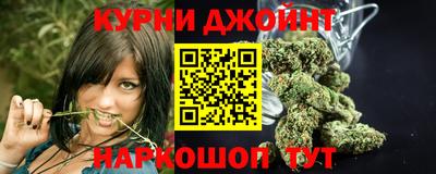 Альфа ПВП Моздок