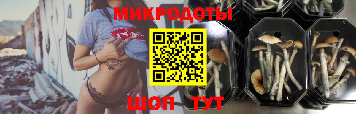 Воткинск  Галлюциногенные грибы GOLDEN TEACHER  Вход с VPN 